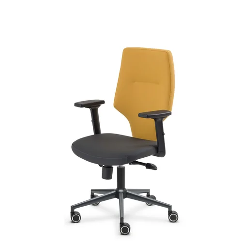 Basic ofis toplanti koltugu hardal capraz