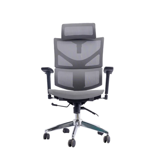 Petra Ergonomik Fileli Ofis Yönetici Koltuğu
